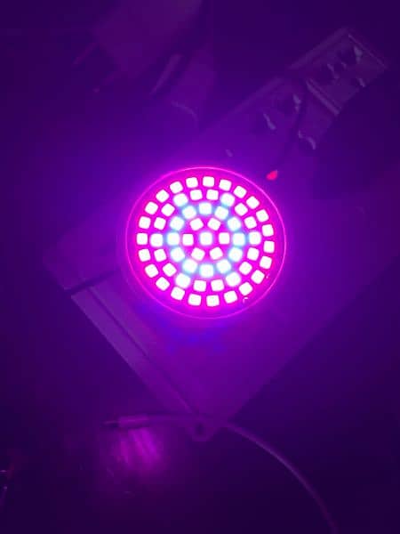 grow light 3w 1