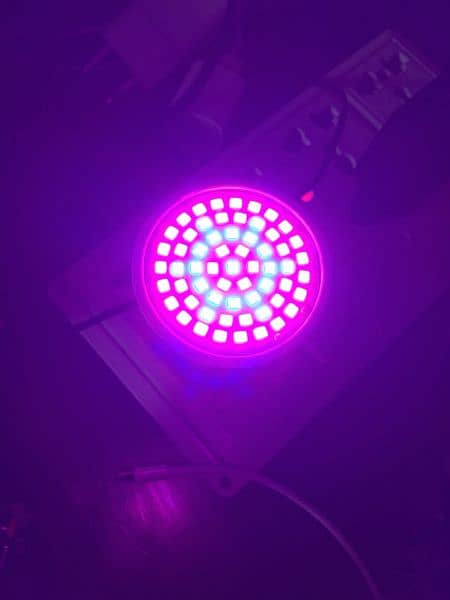 grow light 3w 2