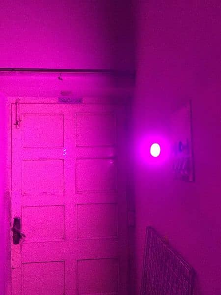 grow light 28w 2