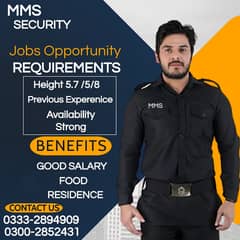 Security Armed Guard Jobs