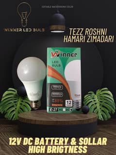 Wholesale Led Bulb 12V DC Battery & Solar Cool & High Brightness