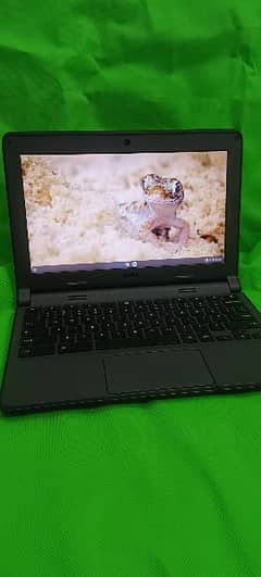 Dell Chromebook 3120 0