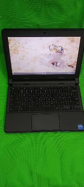 Dell Chromebook 3120 3