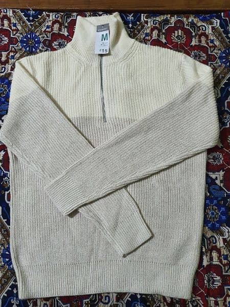 Mens Sweater 1