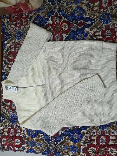 Mens Sweater 2