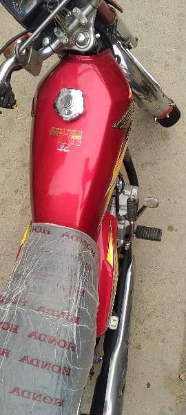 Honda 125 Red 2021 urgent sell 5