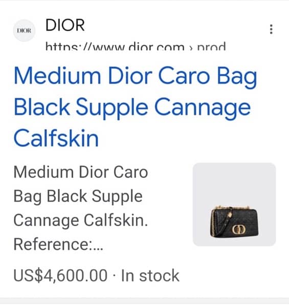 Bag for Ladies DIOR Caro Shoulder Bag 10