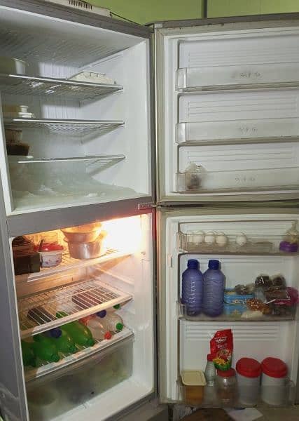 Pel Refrigerator 2