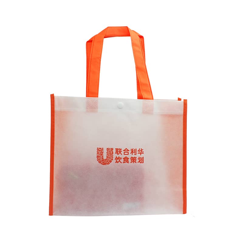 Non Woven bags , Spunbond Shopping Bags, Reuseable 2