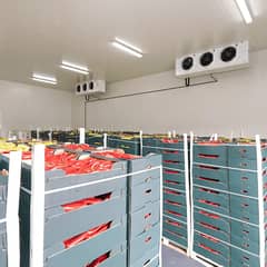 cold storage blast rooms for industry 0