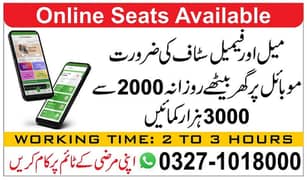 Male and females staff required Office work and Online Work 0
