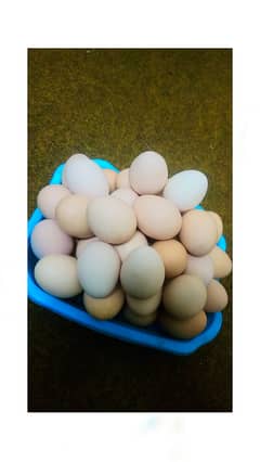 Pure desi eggs ghar ki murgion ka 650 per dzn