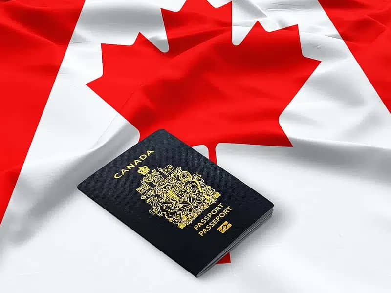 Canada file preparion in very low price. 0