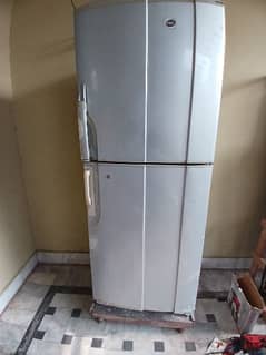 Pel fridge large size