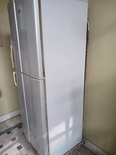 Pel fridge large size 1