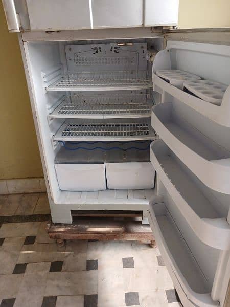 Pel fridge large size 7