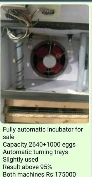 Automatic Hatching Machine 8