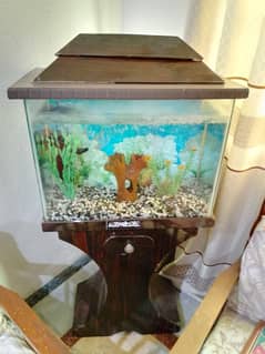 Aquarium fish tank 03122583533