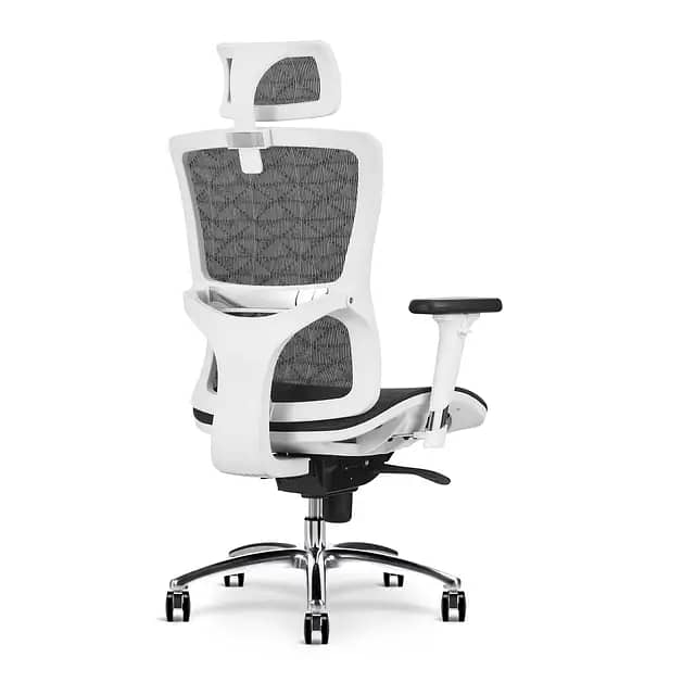 Executive Office Chair for CEO Luxury Seat 10