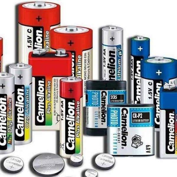 Camelion Alkaline Cell Battery Toys Batteries Button coin Batteries 19