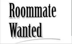 Roommate required