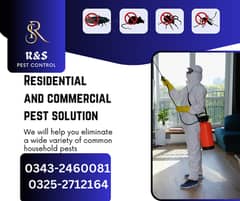 Pest Control Deemak  Coackroach Fumigation Bedbugs Mosquitoes 100 %