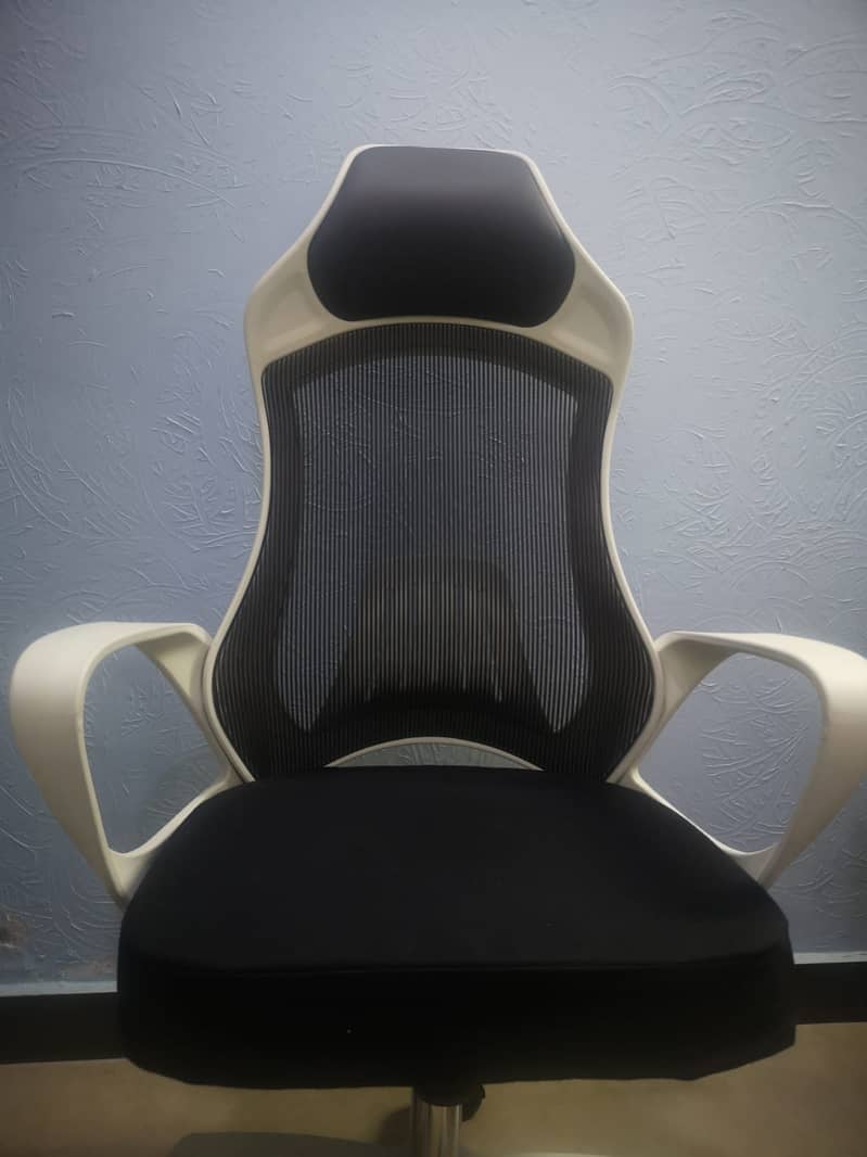 Office/ Gaming chair 1