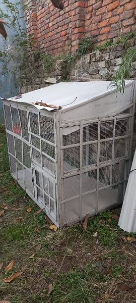 Pigeon Cage 1