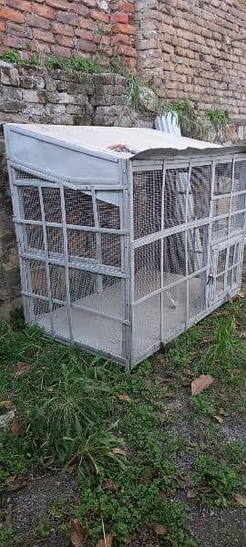 Pigeon Cage 2