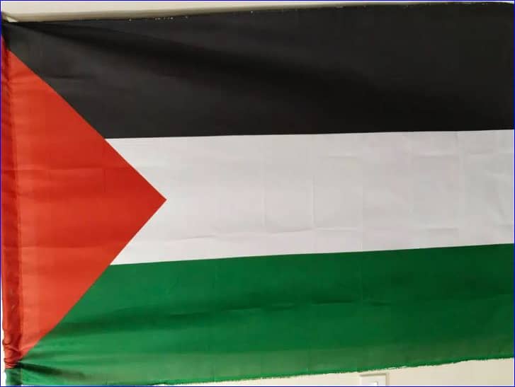 Palestine Flag 4 FEET (Delivery from Lahore by bus) #Flag #Palestine ...