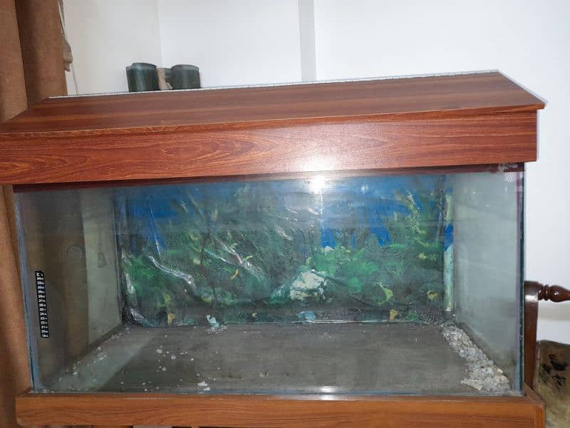 fish aquarium 1