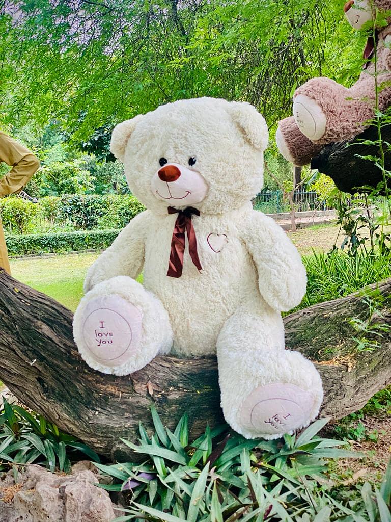 Eid Gift For Children's, Teddy Bear American 03269413521 9