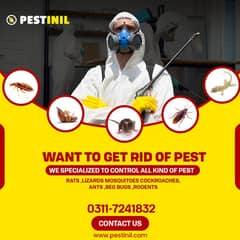 DHA Pest Control