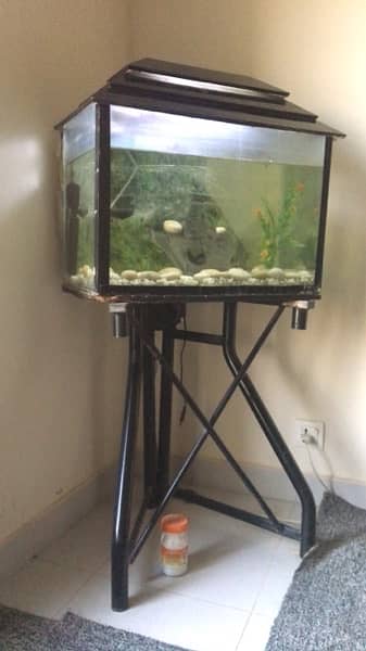 Fish aquarium with all setup 5