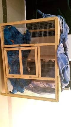 Cat 2024 cage olx