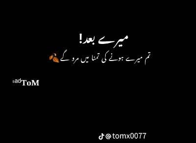 haider 