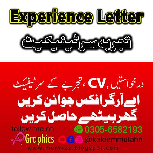 experience letter 0