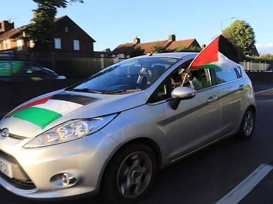 Pakistan People Party flag , p pp flag for car and car rod, 14