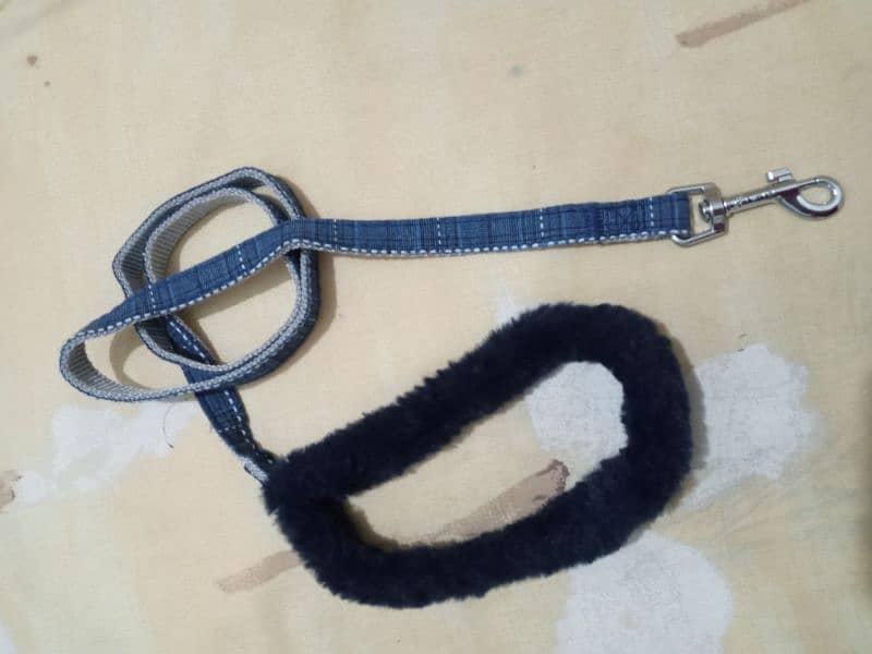 Dog Harness- Belt -Pure European - Quality 15
