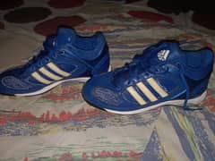 Sale of Important jogars (Adidas) for Football playing