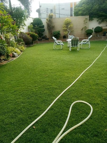 AMERICAN / NATURAL GRASS WHOLESALERS AVAILABLE IN ALL PAKISTAN 2