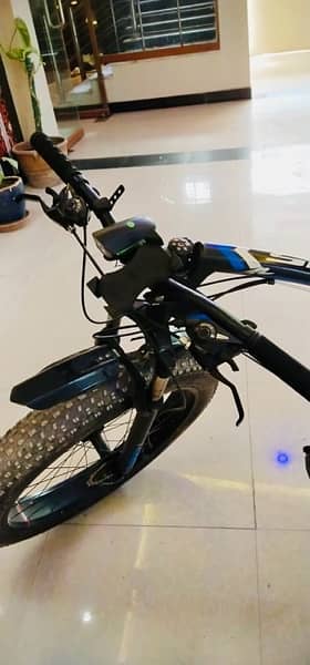 Plus Fat Bike 1