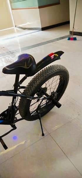 Plus Fat Bike 2