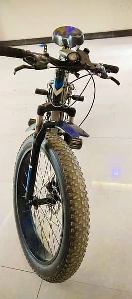 Plus Fat Bike 3