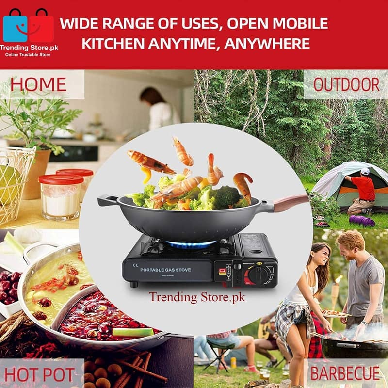 Kitchen Stove With Dual Gas Option With Carrying Case- FREE GAS BOTTLE 13