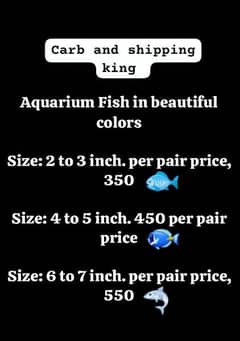 Aquarium fishes carb and shipping king order den jitni Leni hai