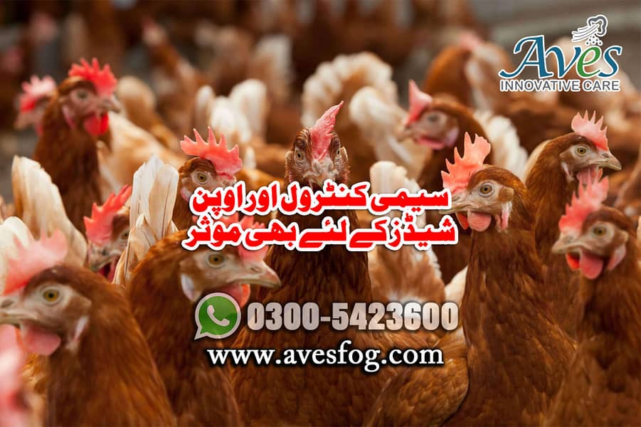 Humidity in poultry | Misting system in Poultry | Nami wala system 10