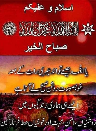 Need job Security Guard 24/7 Hours Or Night Shift