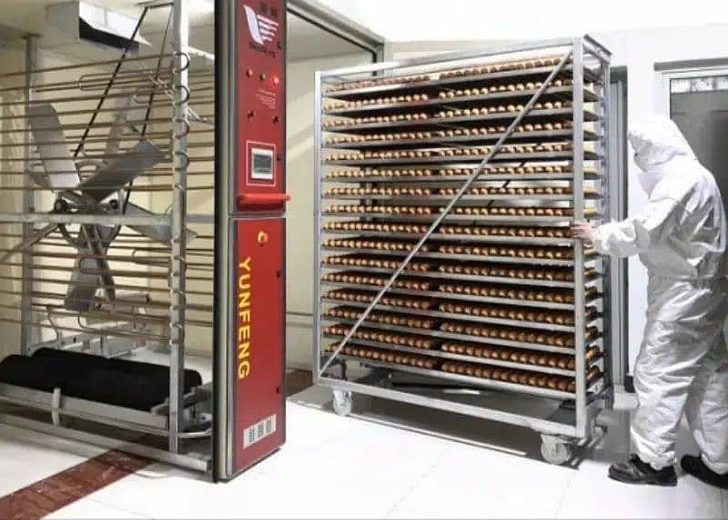 Fully Automatic Industrial Egg Incubator | Commercial Hatchery 3