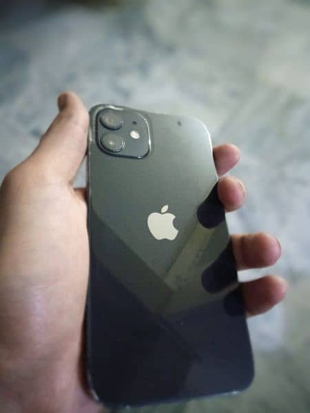 iPhone 12 0